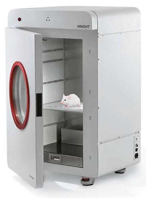 Dual energy X-ray Absorptiometry(DXA)